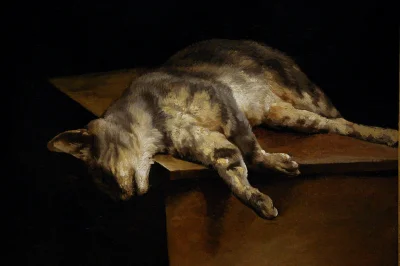 rakaniszu - Théodore Géricault - Martwy kot (1821)

Patrząc na to malowidło zacząło...