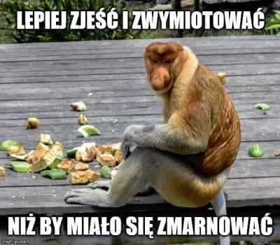 Zombo - #heheszki #humorobrazkowy #nosaczsundajski