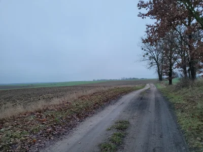 mikm76 - Święta świętami tymczasem huop se po polach wielkopolskich #spierdotrip robi
