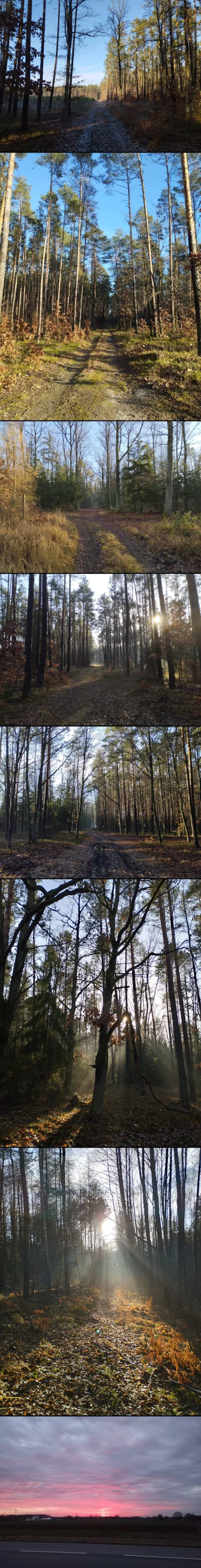 DwaNiedzwiedzie - No dobra, tego lasu to ledwie ze cztery kilometry były (w tym z 500...