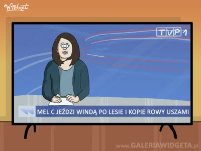 Galeria-Widgeta - Rys. Widget
#bekazpisu #wiadomosci #tvp1 #sylwester2022