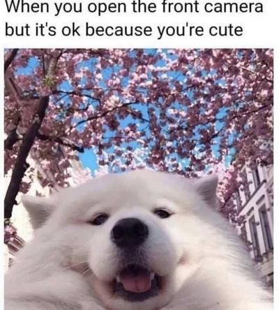 pierogu - @PaluszkiRybneTanieAleNiesmaczne: