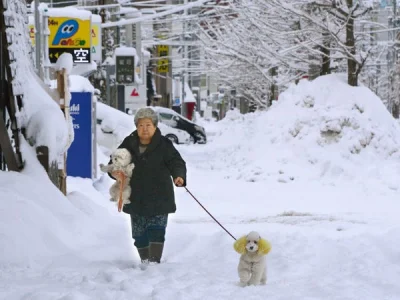 nowyjesttu - Sapporo, Japonia. Zimy są tu mroźne (nawet -40 stopni) i bardzo śnieżne....