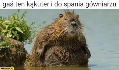 DzikiDziadzior