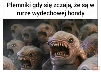 Tortcebulowy - #heheszki #memy #humorobrazkowy