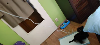 K.....P - Tutaj go zainteresował zwisający stary kabel od internetu xD