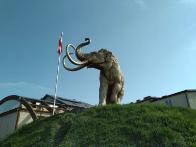 19karol90 - @19karol90: mamut w Strzegowie