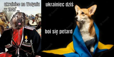 FFFFUUUU - #ukraina #wojna #sylwester #memy ( ͡° ͜ʖ ͡°) kontrowersyjny mem #bekazlewa...