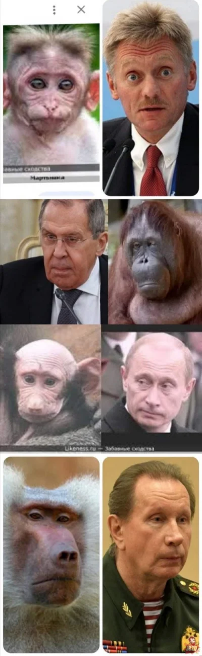maro-grzechotnik - Planeta małp kacapowane
#ukraina #wojna #rosja #heheszki