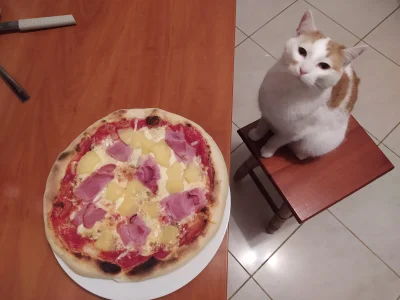 dobry_wieczor - Jak mawiają prawdziwi Włosi: Pizza bez ananasa jest jak kobieta bez k...