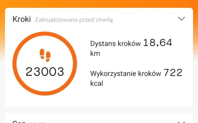 kaczek93 - Noworoczny spierdotrip
23k #!$%@? kroki na nowy #!$%@? rok.
#przegryw