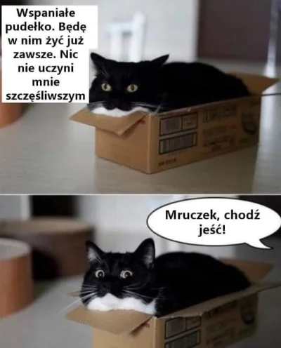 Polasz - #smiesznekotki #heheszki