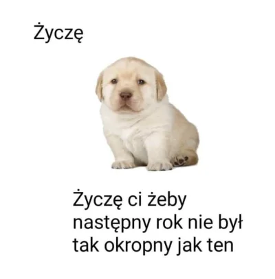 LubiePieski - na następny bo ten już jest okropny ;-;