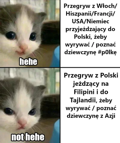 P.....c - Niech się jakieś różowe paski wypowiedzą o tym fikole - @AlienFromWenus woł...