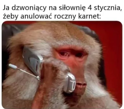 Leisik34 - Jak tam postanowienia noworoczne? #heheszki #humorobrazkowy