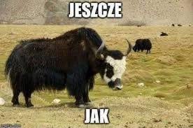 jarecki395 - To tutaj jeszcze jak papieski.