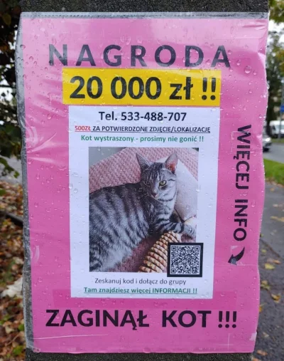 fluoxetinum - więcej info
#Warszawa #koty