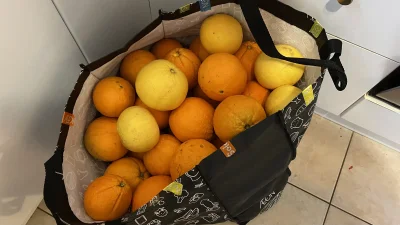 asdfghjkl - Świeża dostawa pomarańczy i trochę gigantycznych cytryn ( ͡° ͜ʖ ͡°). Tera...