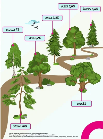 KRS - #ciekawostki #dendrologia #natura Najpopularniejsze drzewa w #polska