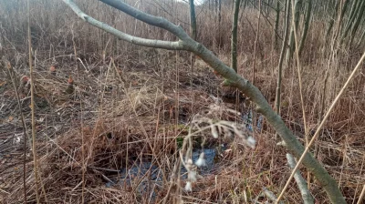 jalop - Dzisiaj wraz z kolegą wybraliśmy się w bardzo niebezpieczną podróż - eksploro...