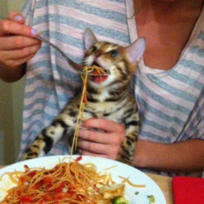 Pally - kolejny dzień spagetu, kocham cie spagecie