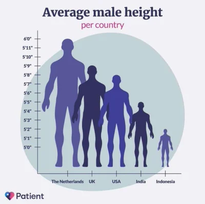 drylu09 - Czy wiesz, że przeciętny indonezyjski mężczyzna jest wielkości nogi Holendr...