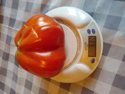 K-S- - @Castellano: syn koleżanki twojego pomidora wygląda tak

a w środku był sple...