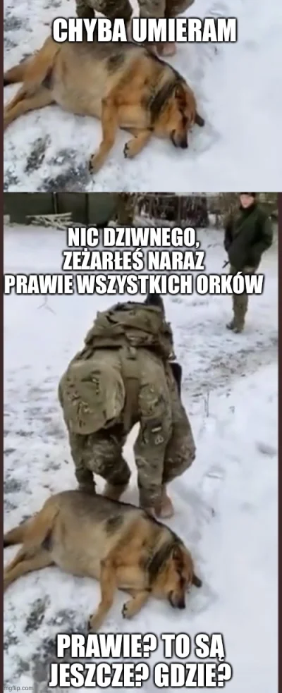 mozgen - #ukraina #heheszki 
#wojna #pdk