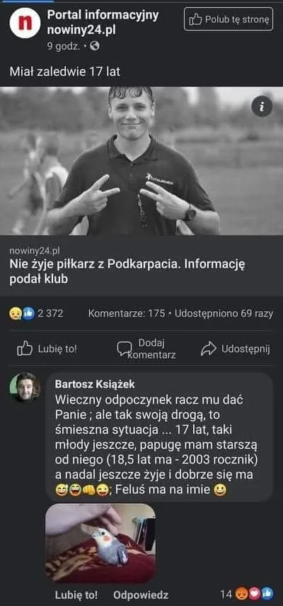 Anthermil - @FaterAnona1: Drugi wynik w google grafika jak wpiszesz papuga felek xD