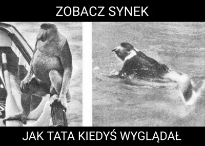 ZywiolakDebilizmu - @voytas0: