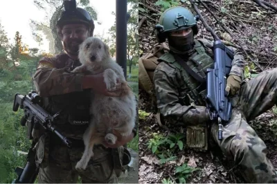 AnimalMotherPL0 - @iooq: Scarów-l na Ukrainie jest bardzo dużo, podczas natarcia na C...