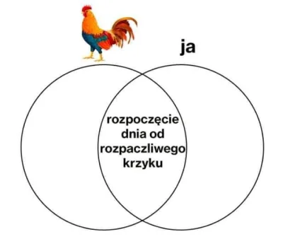 Mrbimbek - Dzień dobry 
#dziendobry #przegryw #pracbaza #depresja