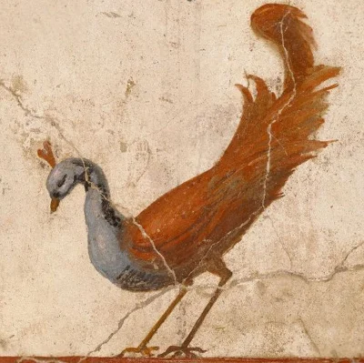 IMPERIUMROMANUM - Rzymski fresk ukazujący pawia

Rzymski fresk ukazujący pawia. Obi...