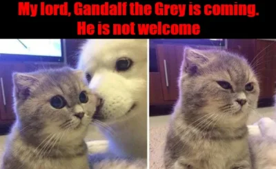 Cane - Mój panie zbliża się Gandalf Szary. Nie jest on mile widziany. ( ͡° ͜ʖ ͡°)

...