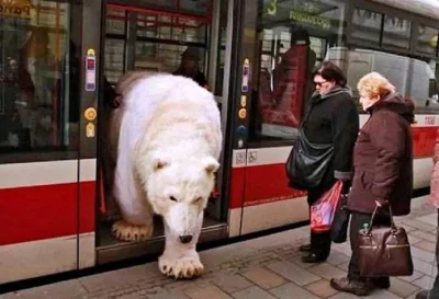 wfyokyga - Jak mnie w-------ą stare baby co się pchają od razu do autobusu/tramwaju. ...