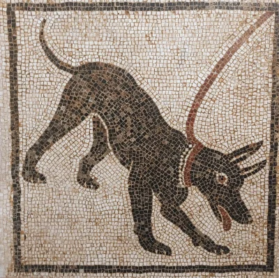 IMPERIUMROMANUM - Mozaika rzymska przedstawiająca psa na smyczy

Mozaika rzymska pr...