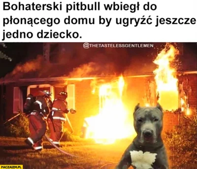 Jednorenki_Bandyta