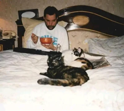 elady1989 - #fotografiapostaci

.

.

.

Freddie Mercury i jego koty - 1987 

.
.
.
....