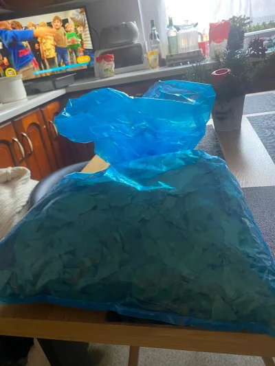 pawelwojciech - @Norskee: matka ostatnio kupiła z koleżanką kilo liścia laurowego na ...