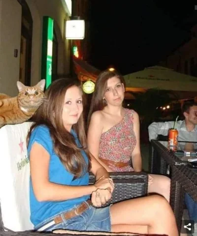 szzzzzz - Ja z przyjaciółkami na piwku
#koty #kitku #heheszki