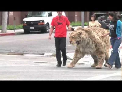 starnak - Saber-toothed cat struts down Wilshire Blvd in L.A. and comes home to the T...