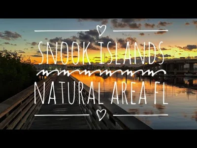 R2D2zSosnowca - @R2D2zSosnowca: jako bonus Snook Island Natural Area ʕ•ᴥ•ʔ
