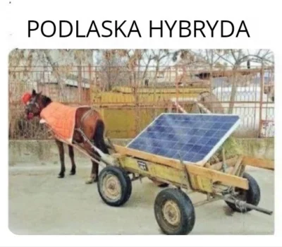 wezsepigulke - #heheszki #humorobrazkowy #memy #podlasie