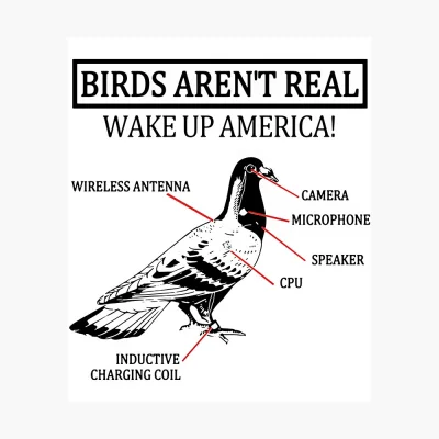 czeskiNetoperek - > te chore ptaki to tylko statyści

@R187: Jakie znowu ptaki, pta...