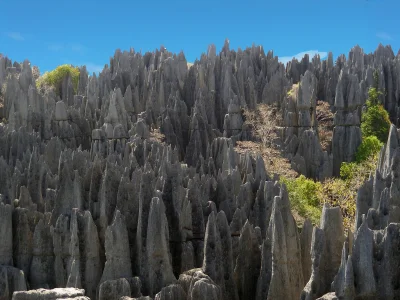 jotuze - Usytuowany w zachodniej części Madagaskaru wapienny masyw Tsingy de Bemaraha...
