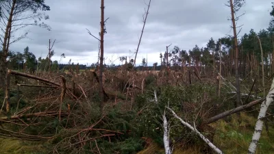 luqasz1 - @snierzyn 8 km na południe od Rytla