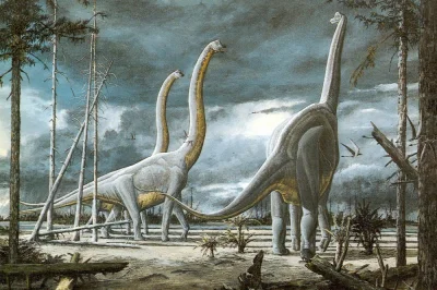 lestito - Giraffatitan
http://www.encyklopedia.dinozaury.com/index.php/Giraffatitan
...