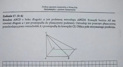 R.....a - Potrzebuję Mirka dobrego duszyczkę, który zrobiłby takie zadanie. Płacę w n...