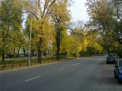 C.....W - A na Saskiej piękna, ciepła #jesien. #saskakepa#Warszawa (chyba czas odwied...