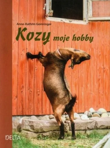 rozlane_mleko - Kozy moje hobby ( ͡° ͜ʖ ͡°) 

#goatboners #humorobrazkowy #heheszki